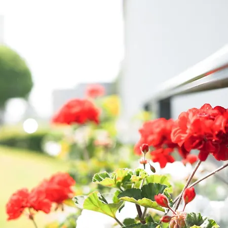 Strandglueck 41- Haus Wiesbaden 公寓 *